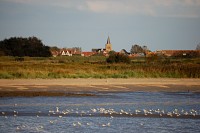 Belgický přístav Nieuwpoort