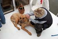 Lodní pes s majitelkou
